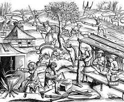 country life facsimile of a woodcut published at lyons in 1517 i