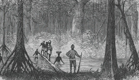 crossing a river on a fallen tree historical illustration africa