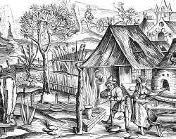 cultivation of grain in use amongst the peasants illustration