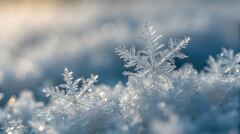 Two intricate snowflakes gently rest on a blanket of fresh snow during a crisp winter morning. The sun casts a soft glow, creating a serene and magical atmosphere.