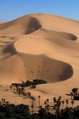 Dunes encroaching on an oasis Algiers