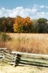 fall color trees field wood fence picture image