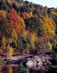 Fall scene in Vermont
