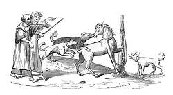 fight between a horse and dogs illustration