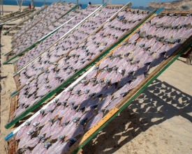 fish hanging on drying racks nazare portugal