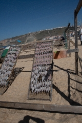fish hanging on drying racks nazare portugal_8504083