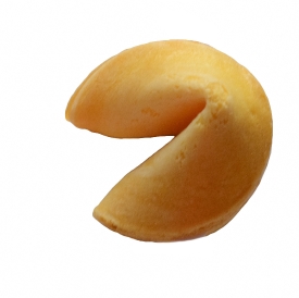 fortune cookie photo object