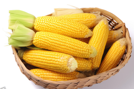fresh corn in a wicker basket