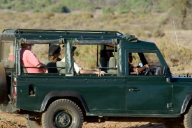 Green Safari Jeep in Africa