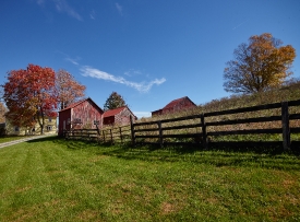 Grouping of small barns in this Monroe County West Virginia autu