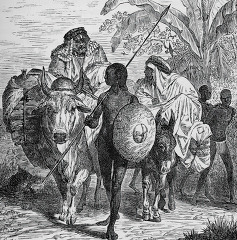 Historic Illustration of Africa 013