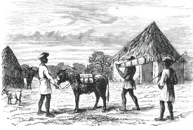 Historic Illustration of Africa 031