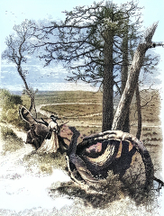Historical Illustration of Connecticut