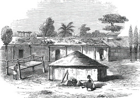 house in zanzibar historical illustration africa