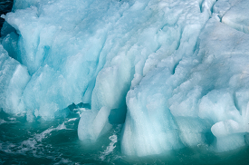 Icebergs Glacier Bay Alaska 553