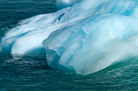 Icebergs Glacier Bay Alaska 555