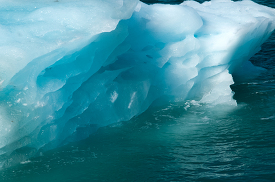 Icebergs Glacier Bay Alaska 564