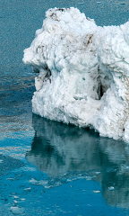 Icebergs Glacier Bay Alaska 739