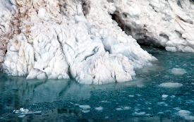 Icebergs Glacier Bay Alaska 741