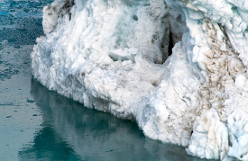 Icebergs Glacier Bay Alaska 743b