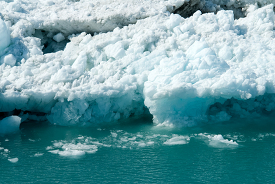 Icebergs Glacier Bay Alaska 804