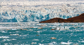 Icebergs Glacier Bay Alaska 807