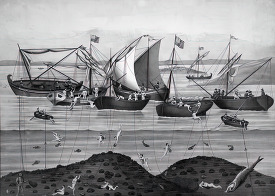 illustration of sponge fishing 2