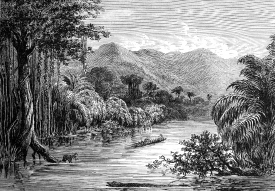 Illustration of the Rio Polochic River Guatemala