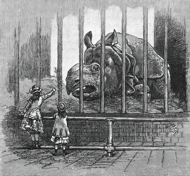 in captivity historical illustration africa