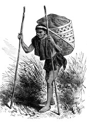 indian porter historical illustration