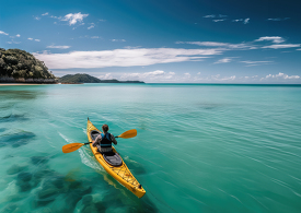 kayaking along the coast in tauranga new zealand