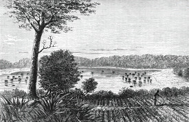 lake mohrya with villages historical illustration africa
