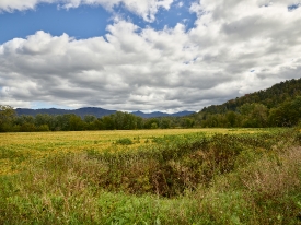 Landscape view near Fairfax Vermont