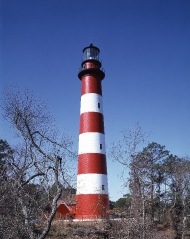 lighthouse on Assateague Island Virginia
