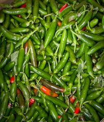 looking down at green peppers