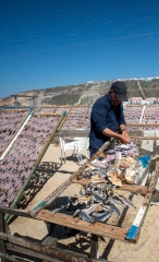 man drying fish on the beach in nazare portugal