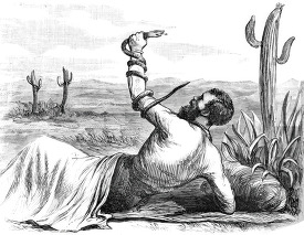 Man holding a Snake mexico historic illustration