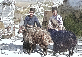 Man with Mountain Sheep of Kerout colorized historical illustrat