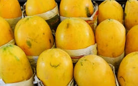 mangos at local market signapore