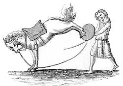 medieval equestrian performances horse kicking illustration
