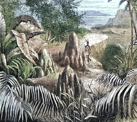 nests of white ants in africa historical illustration africa
