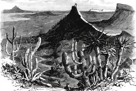 on the edge of the desert historical illustration