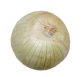 onion photo object image