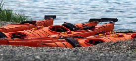 orange kayaks on shore alaska 283b