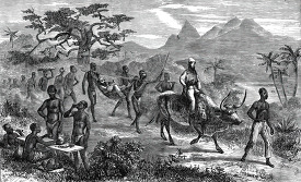 ox and hammock train historical illustration africa