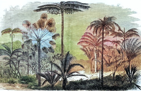 Palm trees in Penang Malaysia Colorized Illustration