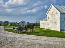 Parked Amish horse and buggy in Kalona Iowa