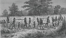 party of slaves in africa historical illustration africa
