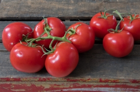 picked fresh tomatoes on the vine wood background photo image 82