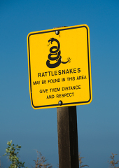 picture of yellow sign warning of rattlesnakes in area 706
